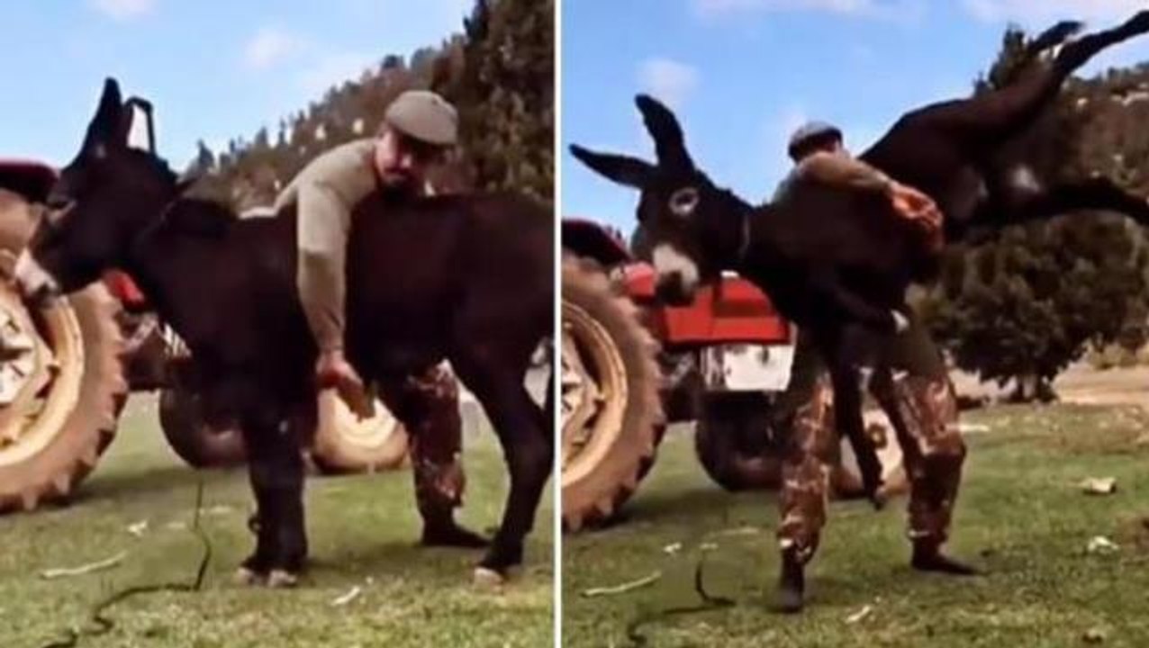 Kırkpınar Başpehlivanı Cengizhan Şimşek'e memleketi Antalya'da coşkulu karşılama