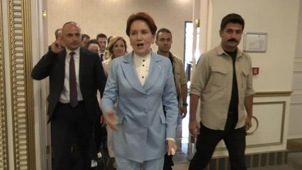 Meral Akşener, partisinin gençlik kolları il başkanlarıyla bir araya geldi