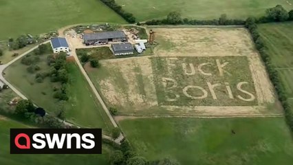 Pilot spots 'F*** Boris' in HUGE letters mowed into farmer's field in Buckinghamshire