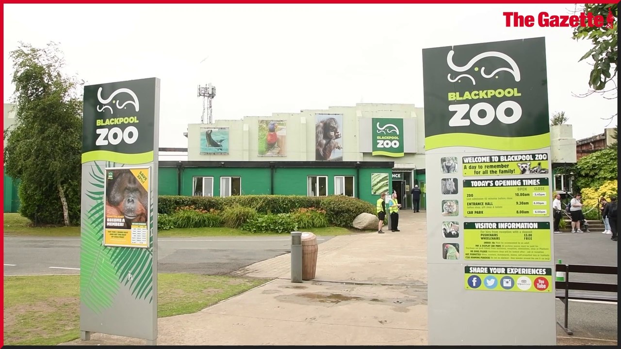 Blackpool Zoo celebrates its 50th anniversary! video Dailymotion