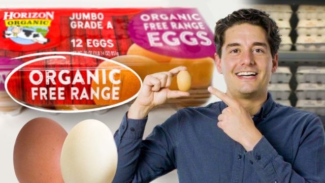 Buying Eggs: What Matters (And What Doesn’t)