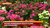 Proveen invernaderos de alta calidad para todo el país