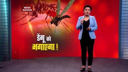Dangerous Mosquito vs Strong Mosquito : सुपर मच्छर आएगा !, डेंगू को भगाएगा !, न डेंगू बचेगा... न चिकनगुनिया !