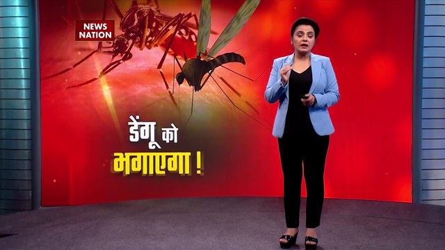 Dangerous Mosquito vs Strong Mosquito : सुपर मच्छर आएगा !, डेंगू को भगाएगा !, न डेंगू बचेगा... न चिकनगुनिया !