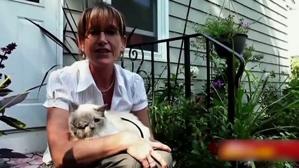 20 Cats That Are Born Only Once In a Thousand Years