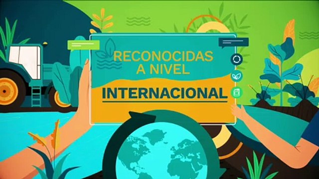 Campo limpio: el trabajo para recuperar millones de envases de agroquímicos que se tiran en el campo -1-
