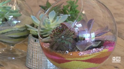 Jade & Clover:  a unique shop with a DIY terrarium bar in Phoenix