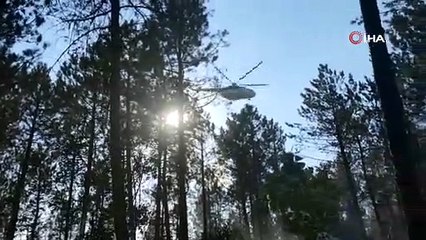 Edirne'de orman yangını