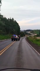 PRF escolta homem que estava desacordado e montado a cavalo no PR