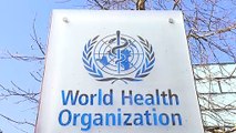Jefe de la OMS convocará al comité de emergencias tras aumento de casos de viruela del mono