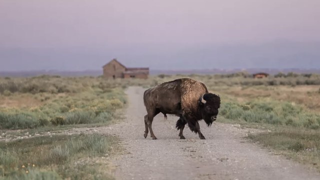 8 Most Beautiful Lodges Just Outside U.S. National Parks