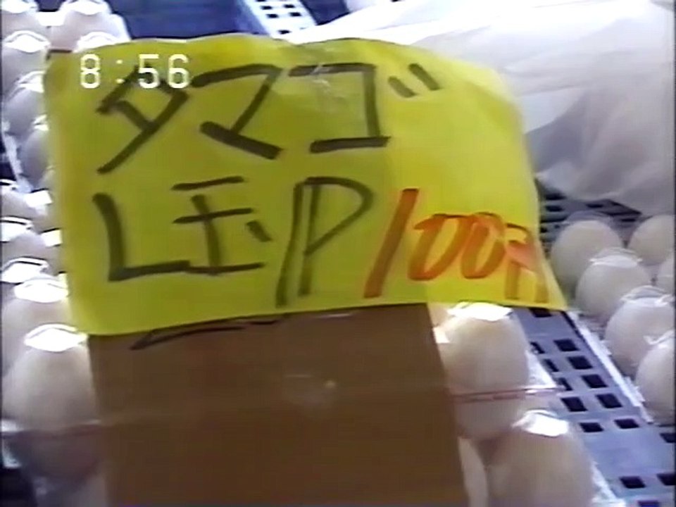 ベトナム難民 フーさん一家の離日～ベトナム難民・8年目の冬～