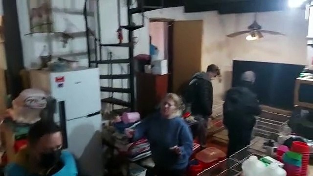 Clausuraron un criadero ilegal de perros: las terribles imágenes del rescate de 133 chihuahuas (Tercera parte)