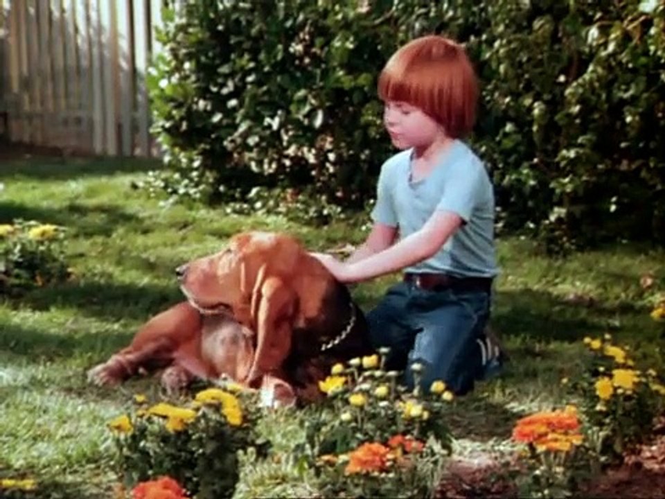 Ein Duke kommt selten allein Staffel 6 Folge 7