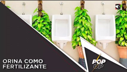 Las propiedades de la orina como fertilizante