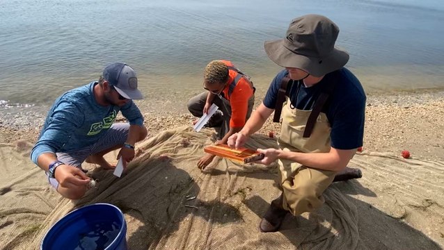 Jersey Shore group samples marine species to track changes over time