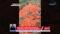 Karton-kartong kamatis, itinapon dahil hindi maibenta | UB