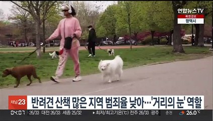 반려견 산책 많은 지역 범죄율 낮아…'거리의 눈' 역할
