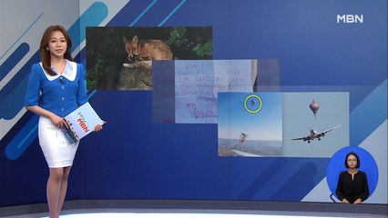 [인터넷 와글와글]여우가 나타났다/실업자의 메모/열기구와 비행기