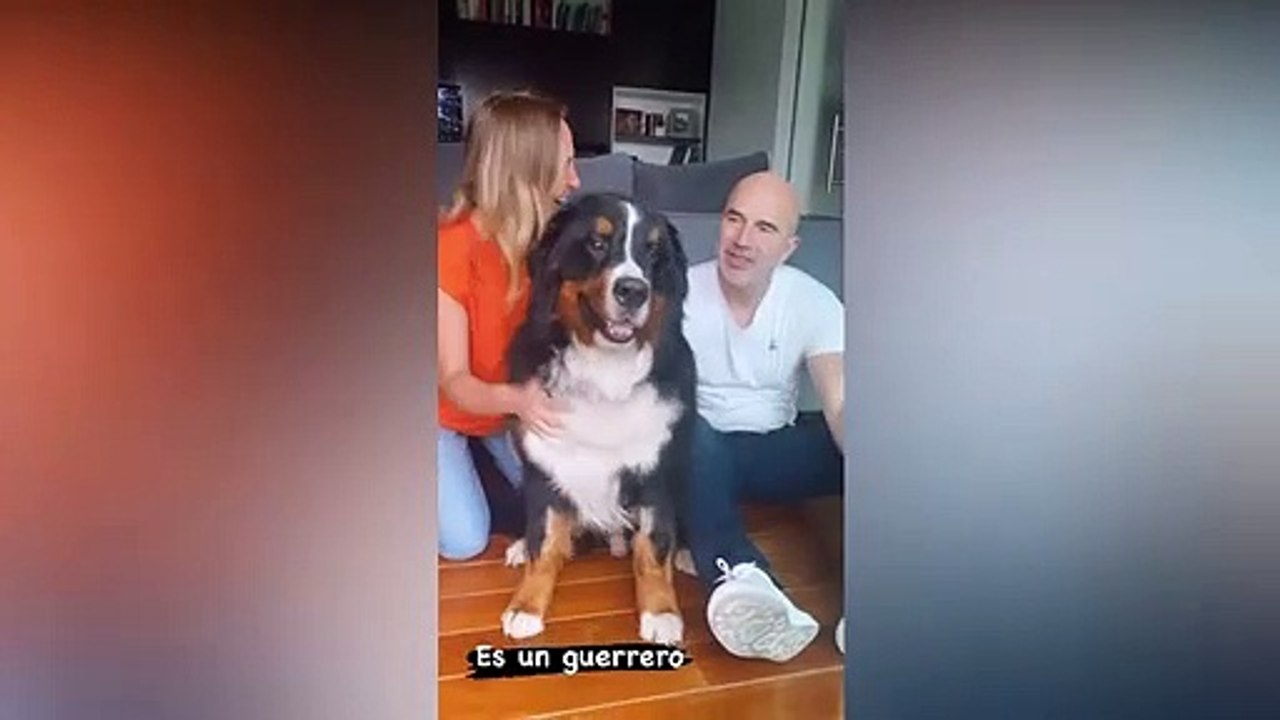 ERIKA DE OV7 FELIZ POR EL REGRESO A CASA DE SU PERRO WINSTON
