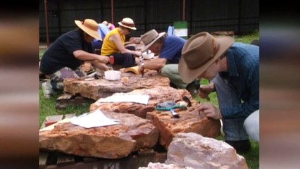 Fossil from before dinosaurs re-investigated by doctor