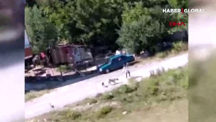 Arnavutköy'de vahşet! Boynuna ip bağladığı köpeği sürükleyerek ilerledi