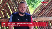 Tosunu yiyen ayıyı drone ile kovaladı