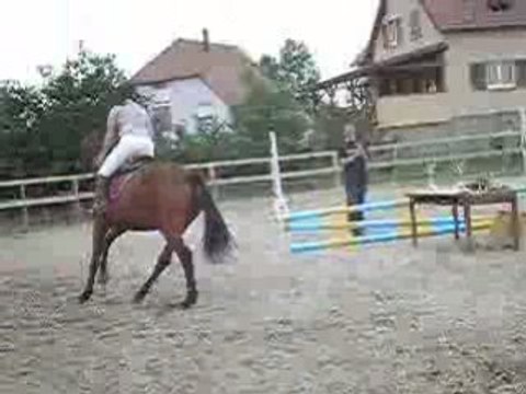 Galop d'honneur Concours interne CSO 13 mai 2007