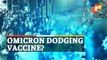 Why COVID19 OMICRON Variants Triggering Global Surge In Infections