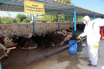 Bursa Büyükşehir bayrama hazır