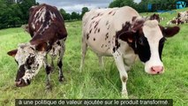 La Ferme de Merval (76) :  9 actifs avec 115 vaches laitières sur 117 ha