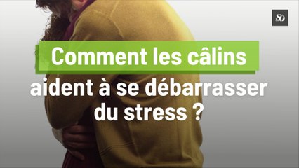 Comment les câlins aident à se débarasser du stress