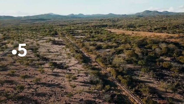 Des trains pas comme les autres : La bande-annonce de la saison 12