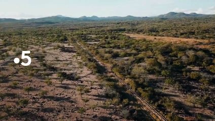 "Des trains pas comme les autres" : La bande-annonce de la saison 12