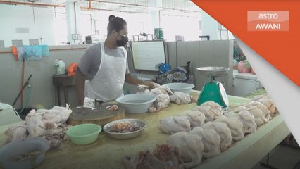 Ayam | Harga, bekalan stabil di pasaran