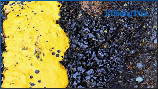 Lancashire Post news update 7 July 2022: Anger over Preston road resurfacing