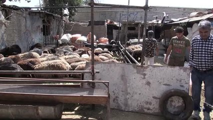 İran'da Kurban Bayramı hazırlıkları