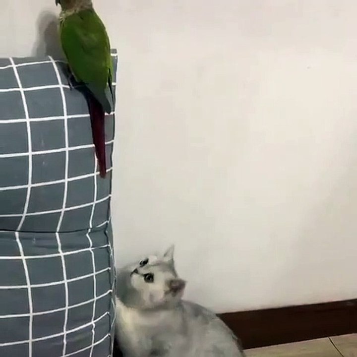 Just checking the walls.. 