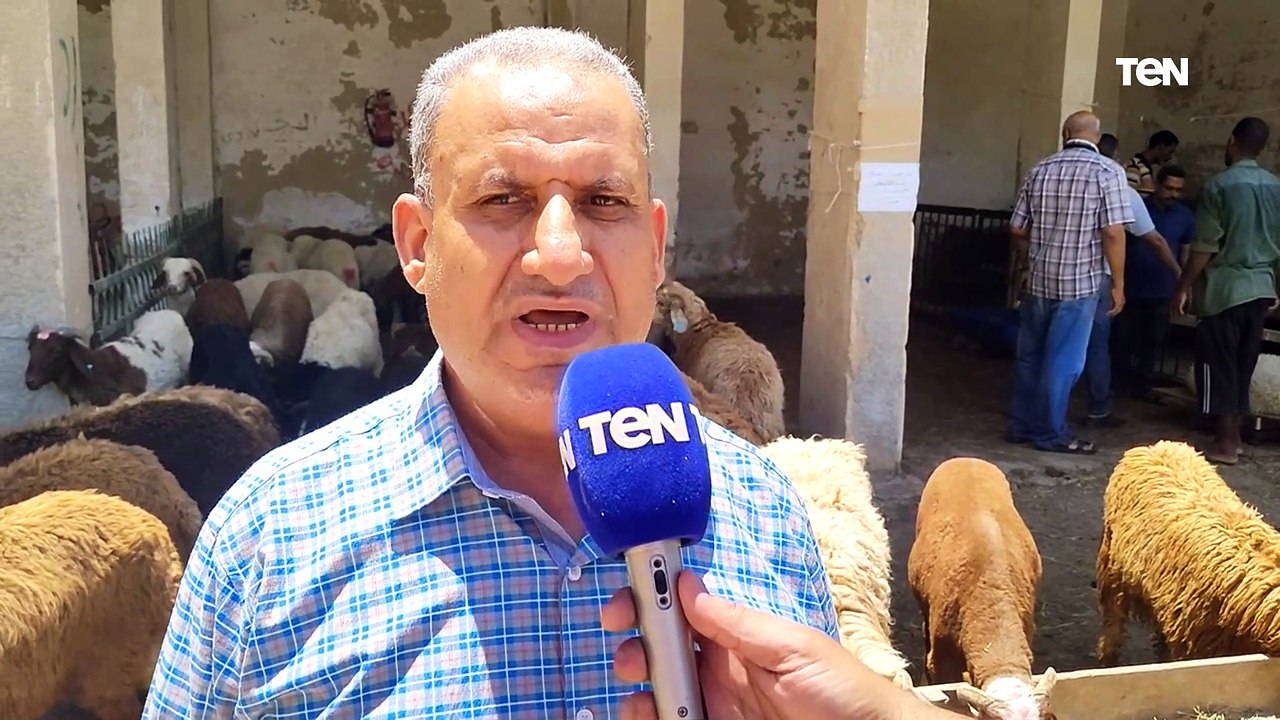 بأسعار أقل من السوق.. محافظة البحر الأحمر ترفع درجة الاستعداد لاستقبال عيد الأضحي
