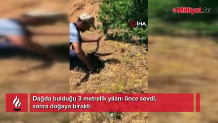 Dağda bulduğu 3 metrelik yılanı önce sevdi, sonra doğaya bıraktı