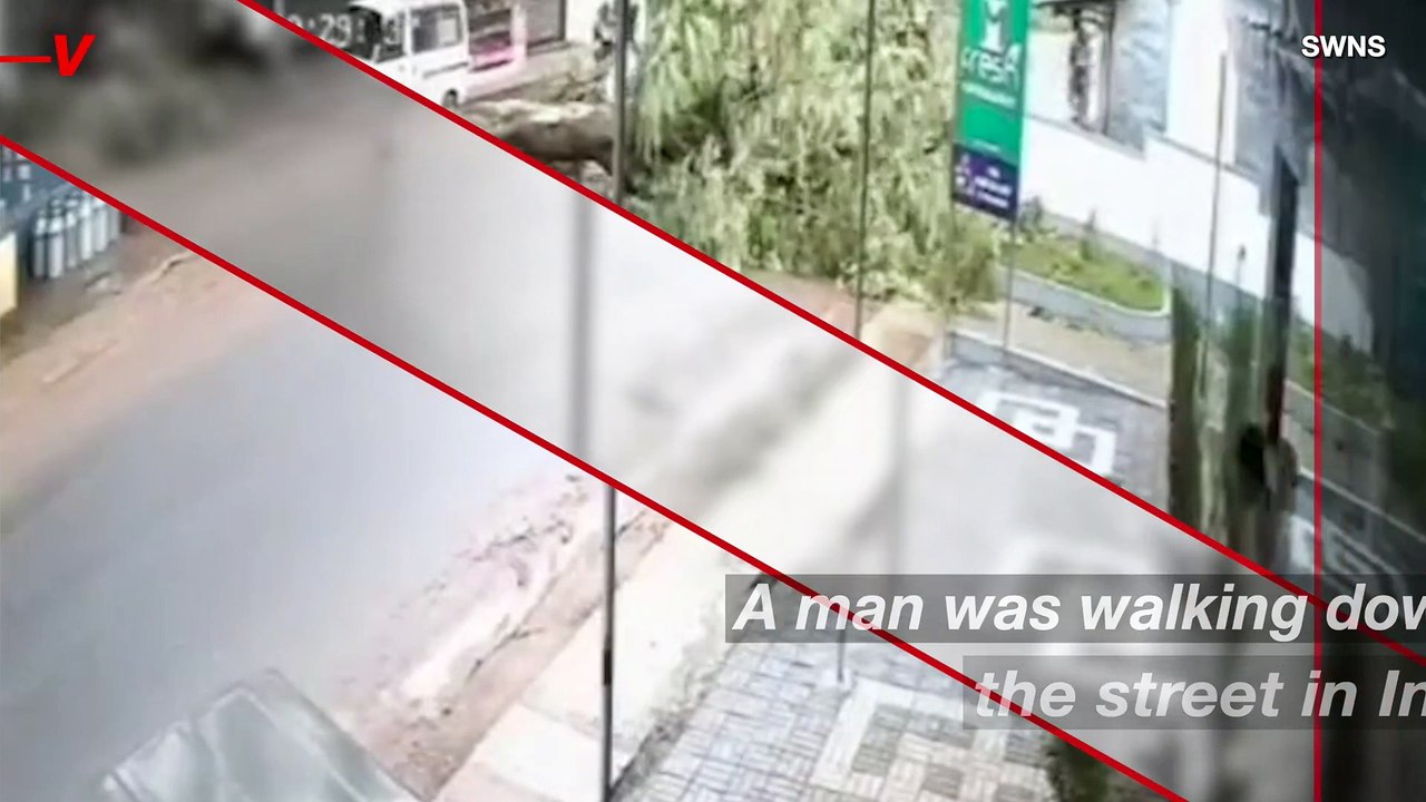 Watch How This Man Narrowly Escaped Serious Injury As a Giant Tree ...