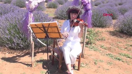 VALİ BARUŞ LAVANTAMIZ TÜRKİYE'DE TEK