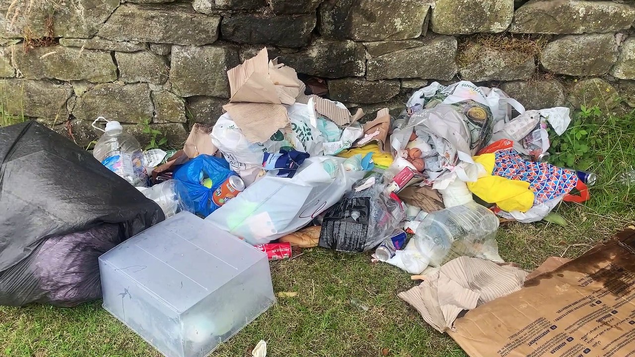 The Friends of Ashton Park clearing up after th...