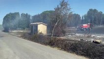 Les pompiers des Bouches-du-Rhône sont engagés sur un feu de végétation au sud d'Arles