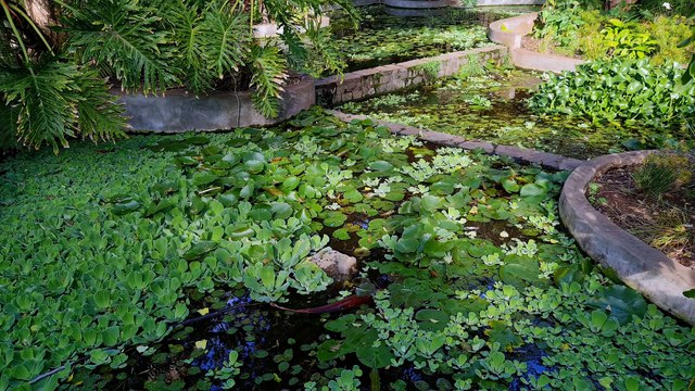 Relaxing Music Celtic Music Relaxation Flute Music Irish Folk Green Scenery Drone Footage