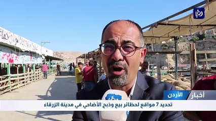 تحديد 7 مواقع لحظائر بيع وذبح الأضاحي في مدينة الزرقاء