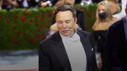 Elon Musk Reportedly Had Twins With a Neuralink Executive