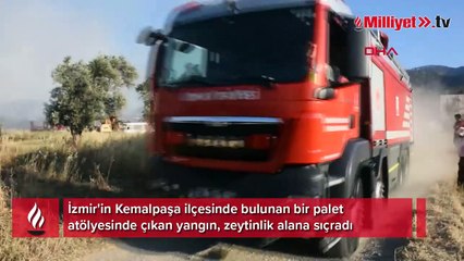 Palet atölyesinde çıkan yangın zeytinlik alana sıçradı