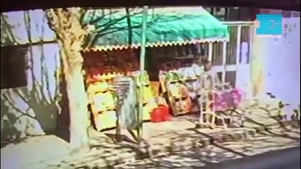 La Plata: se robó una escoba de una verdulería, simuló barrer y escapó