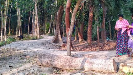 Mother brother sister new funny video   Try Not this laugh comedy video  Episode 28 By Haha idea